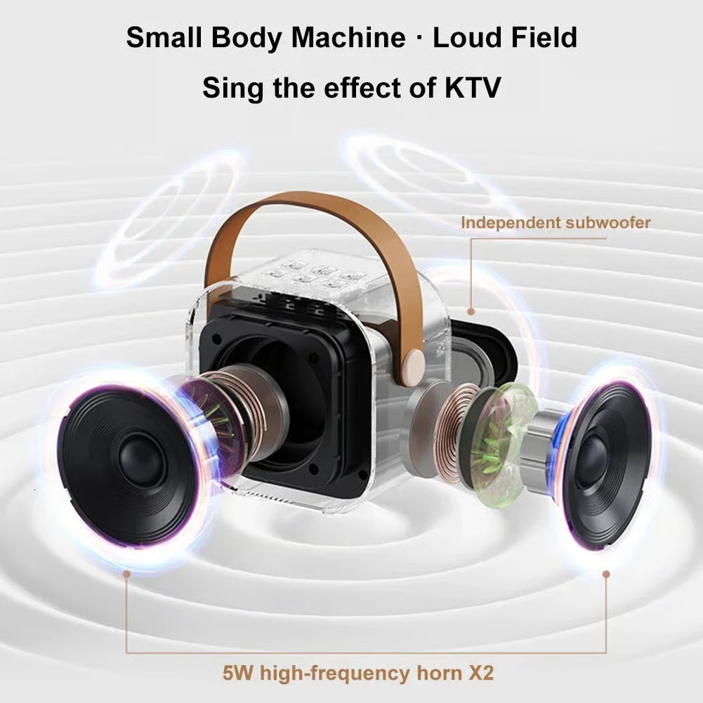Portable Karaoke Machine (with 2 wireless microphones)